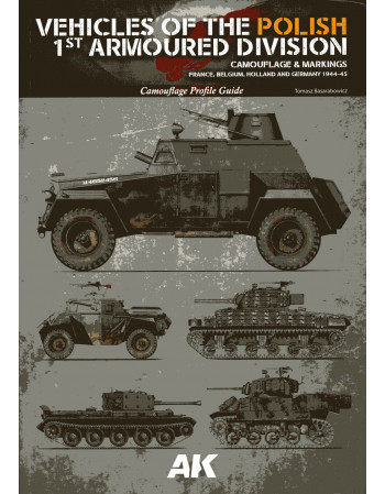 Vehicles of the Polish 1 st...